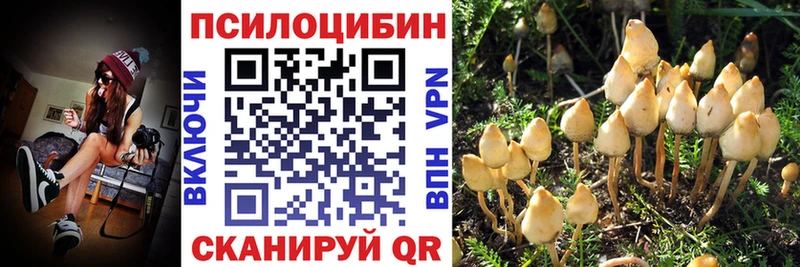 Галлюциногенные грибы мухоморы  Плавск 